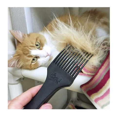 The CoatHook pet comb detangles and desheds cat fur