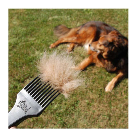 The CoatHook pet comb filled with shedding dog fur