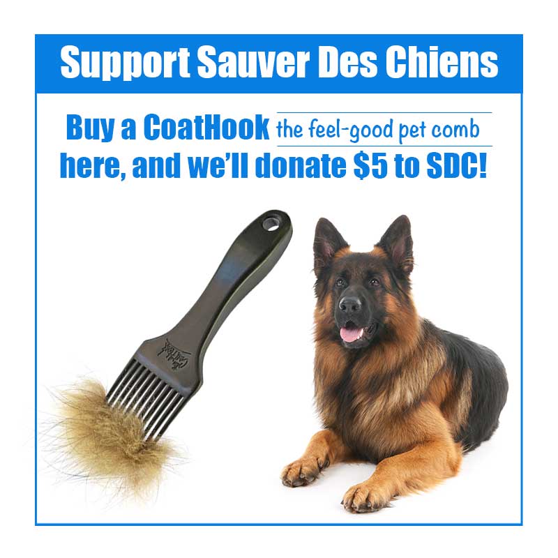 A CoatHook to Benefit <br />Sauver Des Chiens