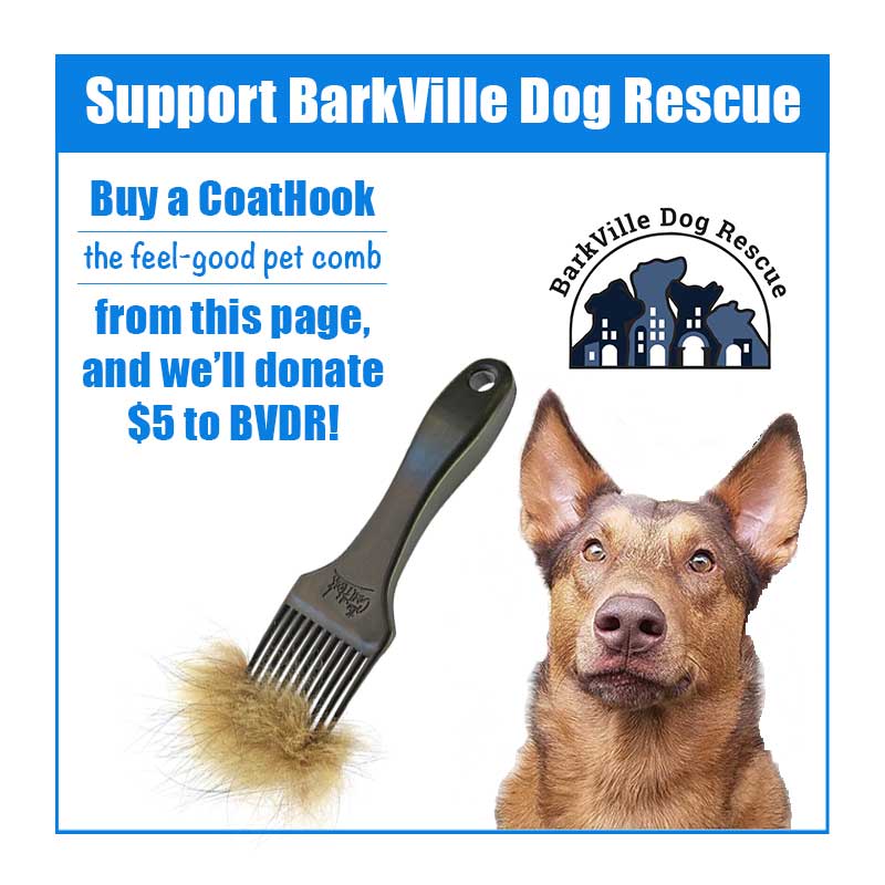 A CoatHook to Benefit <br />BarkVille Dog Rescue