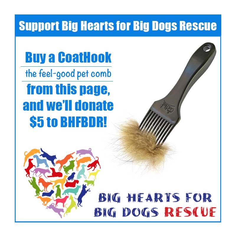 A CoatHook to Benefit <br />Big Hearts for Big Dogs Rescue