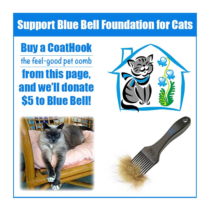 A CoatHook to Benefit Blue Bell Foundation for Cats<br /><br />