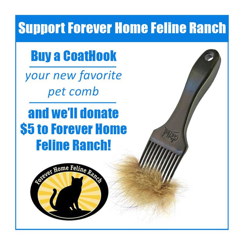 A CoatHook to Benefit Forever Home Feline Ranch<br /><br />
