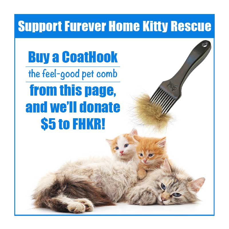 A CoatHook to Benefit <br />Furever Home Kitty Rescue